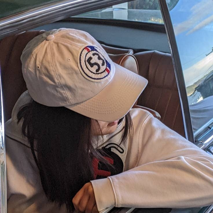 Herbie #53 Love Bug Chenille Patch on 6 Panel Low Profile Baseball Hat